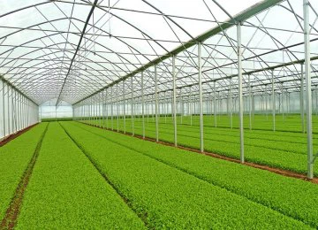 About greenhouse construction